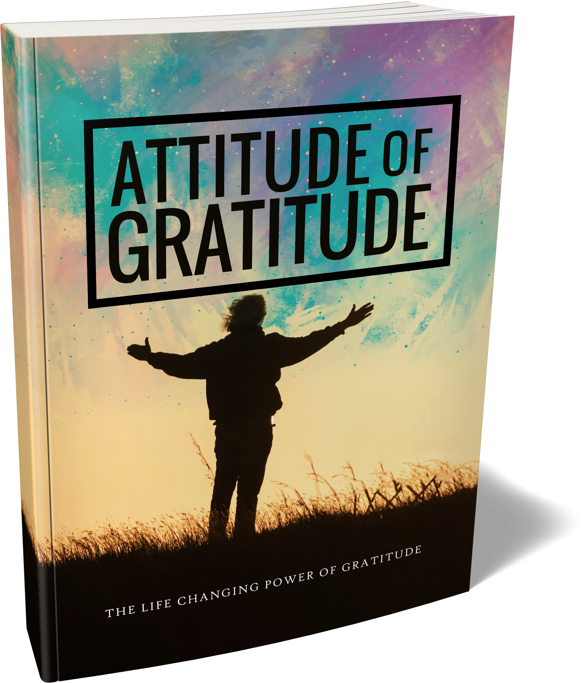 Attitude Of Gratitude