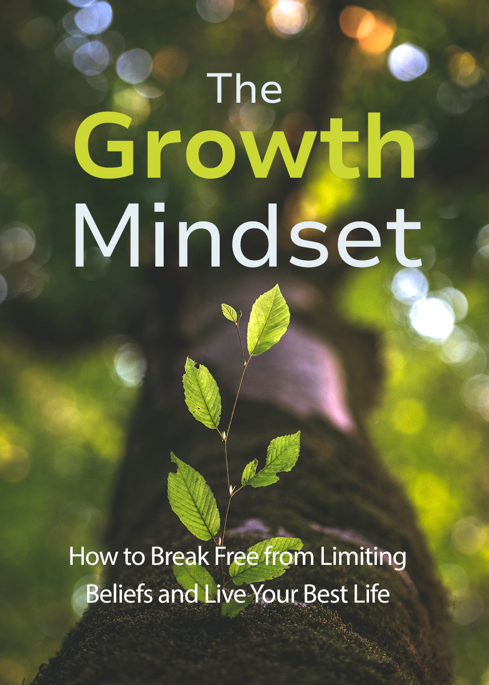 The Growth Mindset